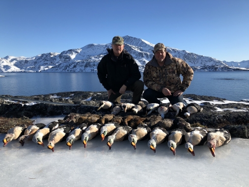 King Eider Hunting makes history in Greenland
